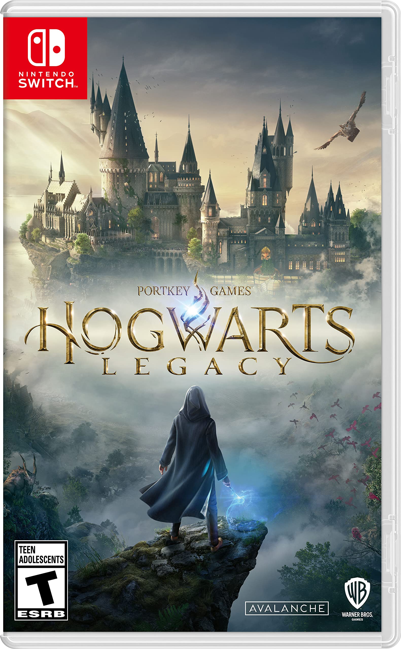 Hogwarts Legacy Nintendo Switch